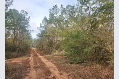 Lot 5 Pin Oak Drive, Plantersville, TX 77363 - Photo 1