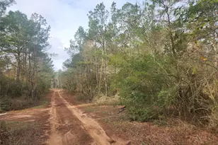 Lot 5 Pin Oak Dr, Plantersville, TX 77363 - Photo 1