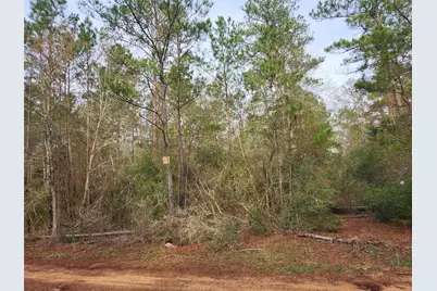 Lot 5 Pin Oak Drive, Plantersville, TX 77363 - Photo 9