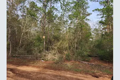 Lot 5 Pin Oak Drive, Plantersville, TX 77363 - Photo 5