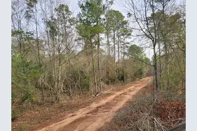 Lot 5 Pin Oak Drive, Plantersville, TX 77363 - Photo 13