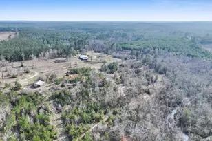 1202 County Rd 1099, Wiergate, TX 75977 - Photo 5