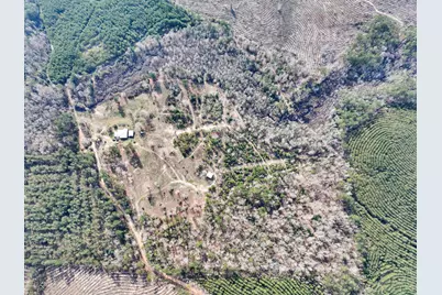 1202 County Road 1099, Wiergate, TX 75977 - Photo 19