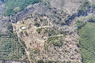 1202 County Rd 1099, Wiergate, TX 75977 - Photo 19