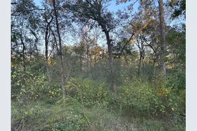 119 County Road 4533, Dayton, TX 77535 - Photo 7