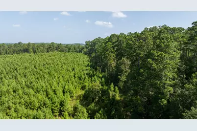 Tbd 1 Sandy Creed Rd, Zavalla, TX 75980 - Photo 17