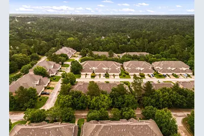 54 Ginger Jar Street, The Woodlands, TX 77382 - Photo 31
