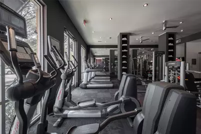 306 McGowen Street #1423, Houston, TX 77006 - Photo 19