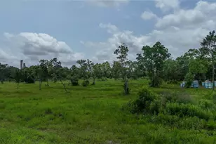 0000 Cr 154, Alvin, TX 77511 - Photo 7