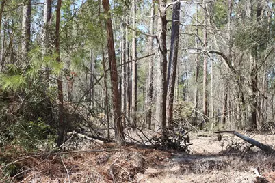 12-1 N Hanson Road, Onalaska, TX 77360 - Photo 33