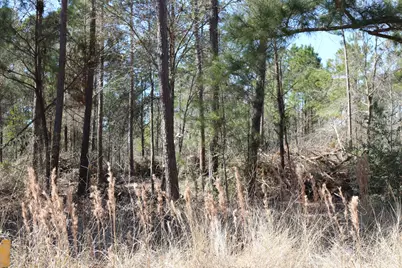 12-1 N Hanson Road, Onalaska, TX 77360 - Photo 11