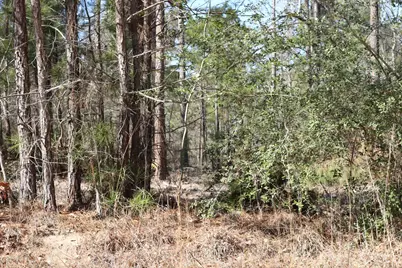12-1 N Hanson Road, Onalaska, TX 77360 - Photo 5