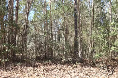 12-1 N Hanson Road, Onalaska, TX 77360 - Photo 3