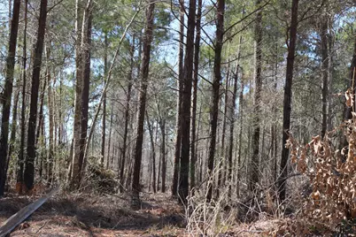 12-1 N Hanson Road, Onalaska, TX 77360 - Photo 35