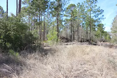 12-1 N Hanson Road, Onalaska, TX 77360 - Photo 21