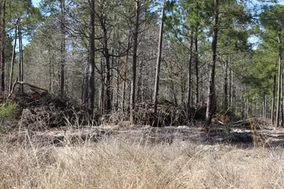 12-1 N Hanson Road, Onalaska, TX 77360 - Photo 17