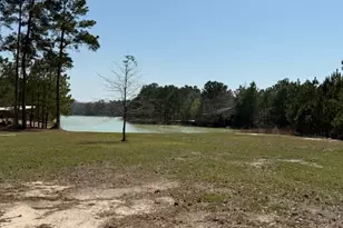 4324 Holstein Dr, Cleveland, TX 77328 - Photo 43