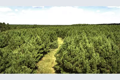 Tbd Stutts Hill Road, Livingston, TX 77351 - Photo 9