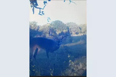 165 Ac Turner Ln, Franklin, TX 77856 - Photo 23