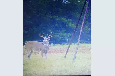 165 Ac Turner Ln, Franklin, TX 77856 - Photo 29