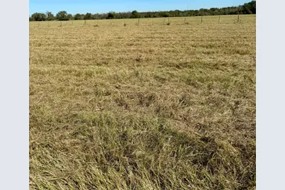 165 Ac Turner Ln, Franklin, TX 77856 - Photo 9