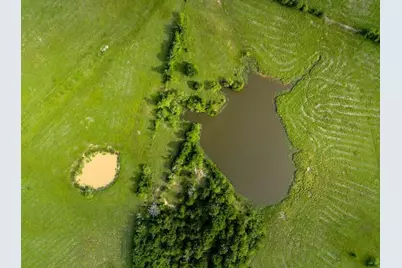 165 Ac Turner Ln, Franklin, TX 77856 - Photo 35