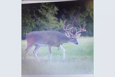 165 Ac Turner Ln, Franklin, TX 77856 - Photo 31