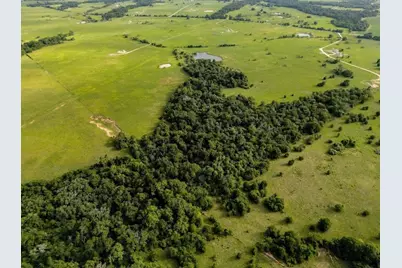 165 Ac Turner Ln, Franklin, TX 77856 - Photo 5