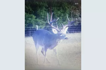 165 Ac Turner Ln, Franklin, TX 77856 - Photo 33