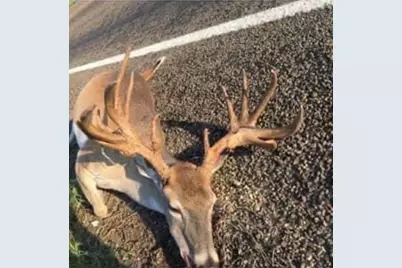 165 Ac Turner Ln, Franklin, TX 77856 - Photo 13