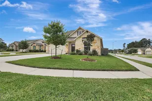 11711 Petal Falls Ln, Tomball, TX 77377 - Photo 3
