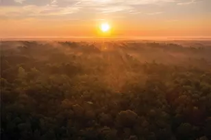 16053 Frst Ml Rd, Willis, TX 77378 - Photo 21