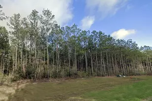 16053 Frst Ml Rd, Willis, TX 77378 - Photo 7