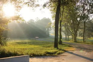 16053 Frst Ml Rd, Willis, TX 77378 - Photo 19