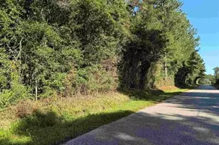 00 County Road 616, Buna, TX 77612 - Photo 1