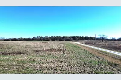 1475 Southfield Trail, Lovelady, TX 75851 - Photo 3