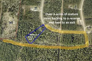 15369 Red Hawk Rd, Willis, TX 77378 - Photo 1