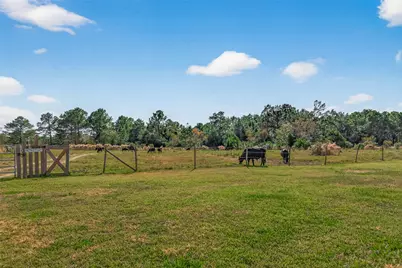 16910 County Line Road, Winnie, TX 77665 - Photo 33