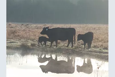 16910 County Line Road, Winnie, TX 77665 - Photo 37