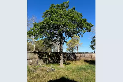 24636 Canterbury Circle, Hockley, TX 77447 - Photo 23