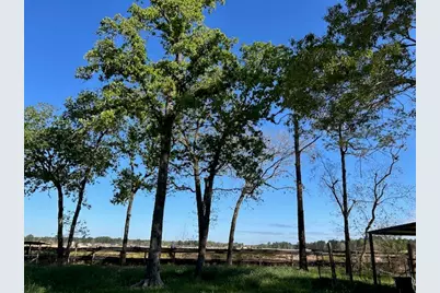 24636 Canterbury Circle, Hockley, TX 77447 - Photo 5