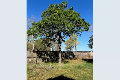 24636 Canterbury Circle, Hockley, TX 77447 - Photo 7