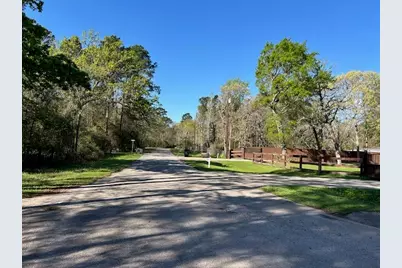 24636 Canterbury Circle, Hockley, TX 77447 - Photo 3