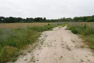 9706 FM102, Wharton, TX 77488 - Photo 3