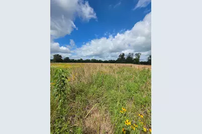Tbd Lot 11 County Road 201, Plantersville, TX 77363 - Photo 1
