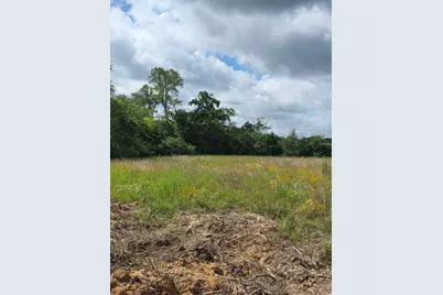 Tbd Lot 11 County Road 201, Plantersville, TX 77363 - Photo 3