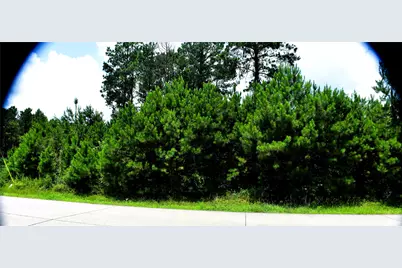 238 County Road 3545, Cleveland, TX 77327 - Photo 5
