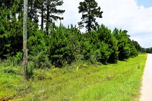 238 County Rd 3545, Cleveland, TX 77327 - Photo 1
