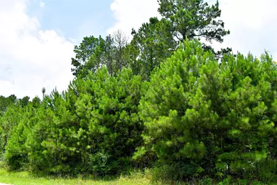 238 County Road 3545, Cleveland, TX 77327 - Photo 7