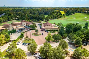 50 S Badger Lodge Cir, The Woodlands, TX 77389 - Photo 45